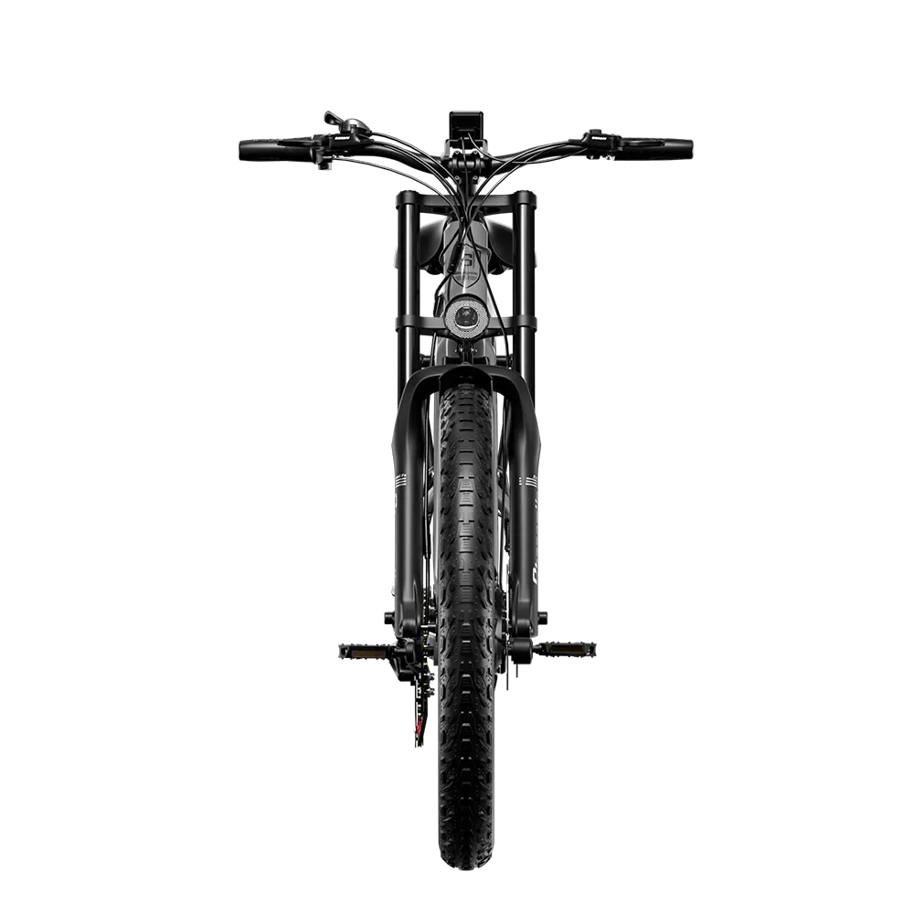 Shengmilo S600 2000W Dual-Motor Electric Bicycle